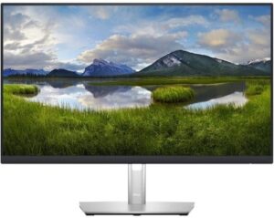 Dell P2423D 23.8 2560 x 1440 HDMI DisplayPort 60Hz