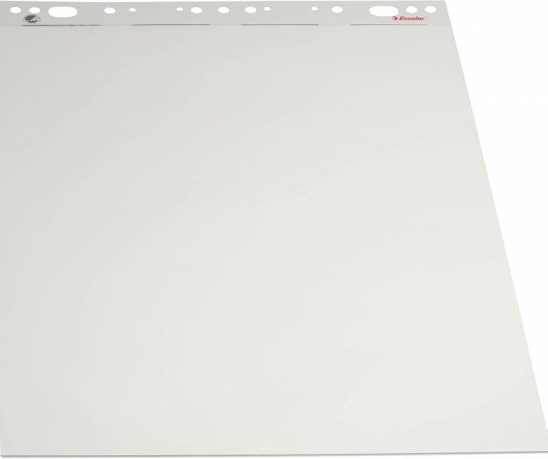 Flipoverpapir Esselte 59x80cm ulineret 50ark/stk 96557