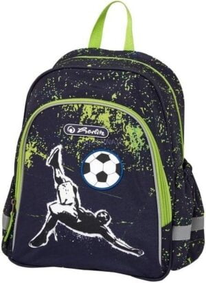 NEC MultiSync V721 17 1280 x 1024 VGA (HD-15) 66Hz