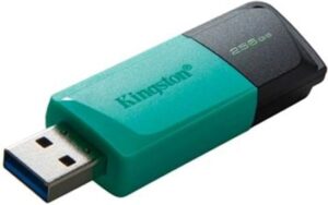 Kingston DataTraveler Exodia M 256GB USB 3.2 Gen 1 Sort Grøn