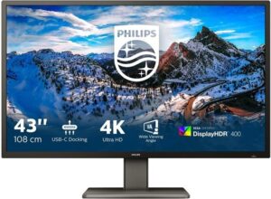 Philips P-line 439P1 43 3840 x 2160 HDMI DisplayPort USB-C 60Hz