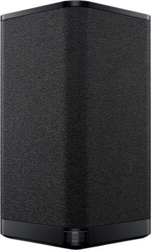 Ultimate Ears HYPERBOOM Festhøjttaler Sort